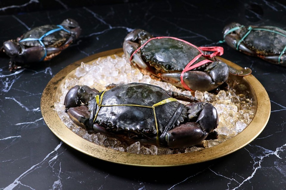9s seafood