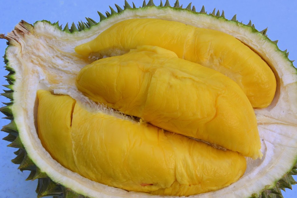 Durian