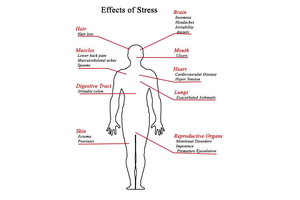 What are the signs of stress