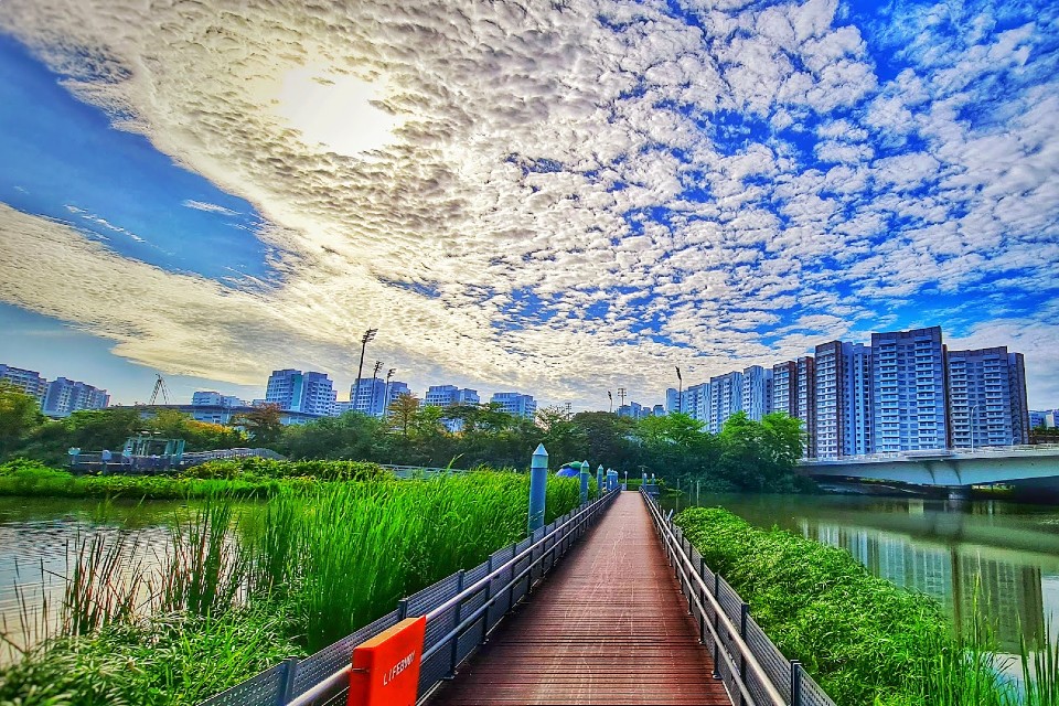 Sengkang Park