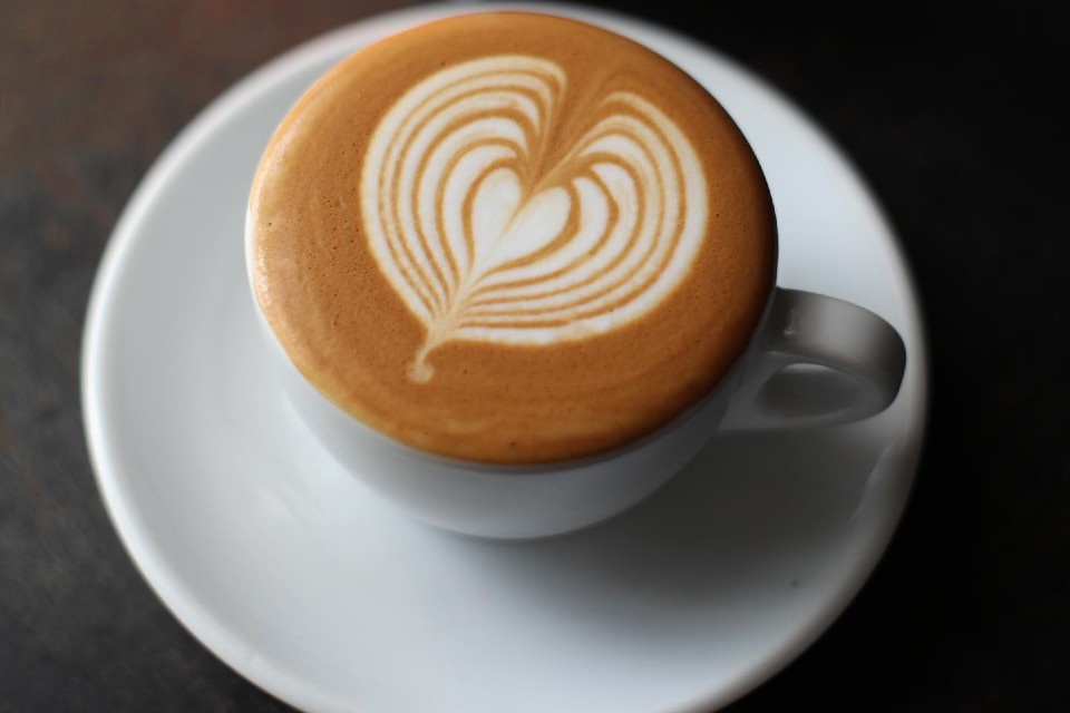 Brawn & Brains Coffee Singapore