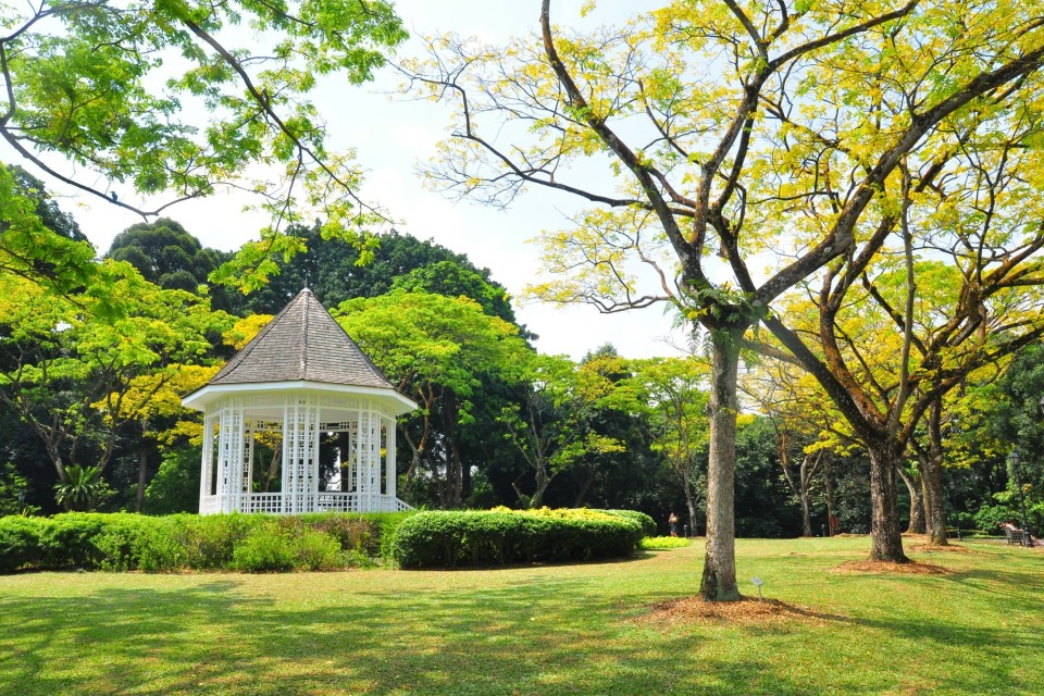 Singapore Botanic Garden