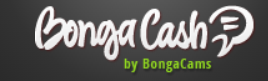 NInGa