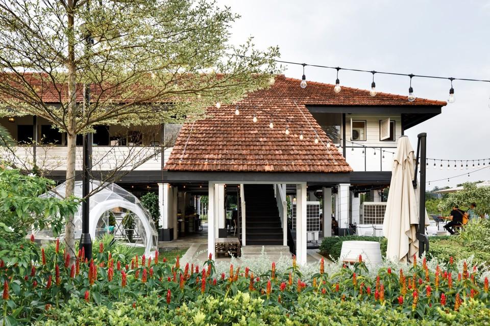 the summerhouse