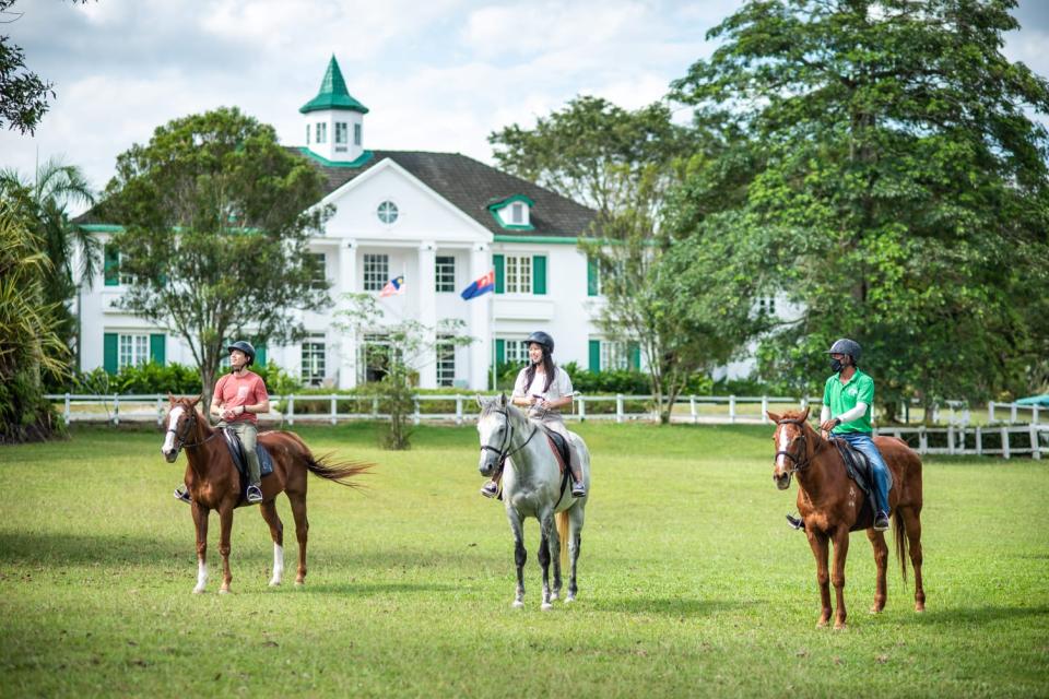 Riders Resort Horse Management and Horse Riding Camps