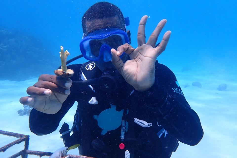 Securing Mnemba Atoll: A New Chapter in Coral Conservation