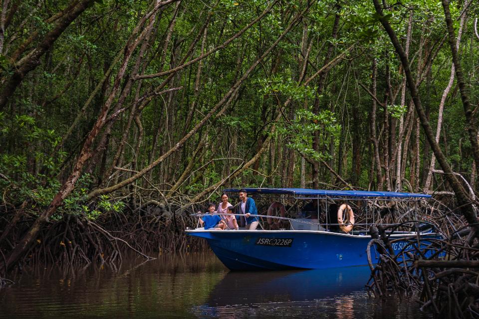Desaru_Coast Mangroves Tour Destination Experience
