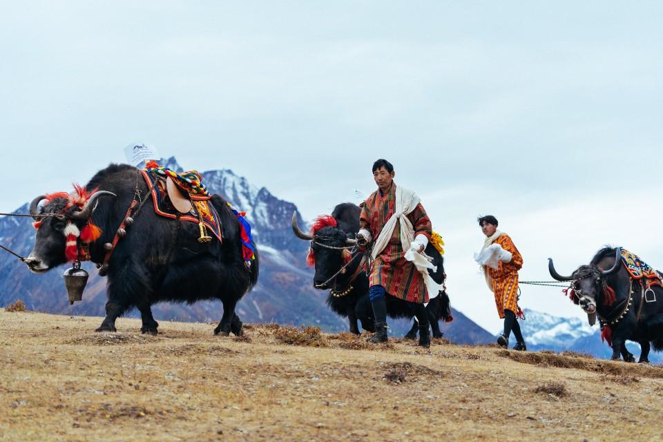 Experience Bhutanese Culture with Top Festivals in the Land of the Thunder Dragon