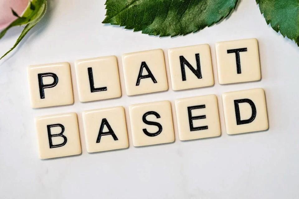 17 Compelling Reasons to Embrace a Plant-Based Diet