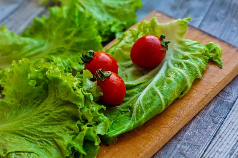 17 Compelling Reasons to Embrace a Plant-Based Diet