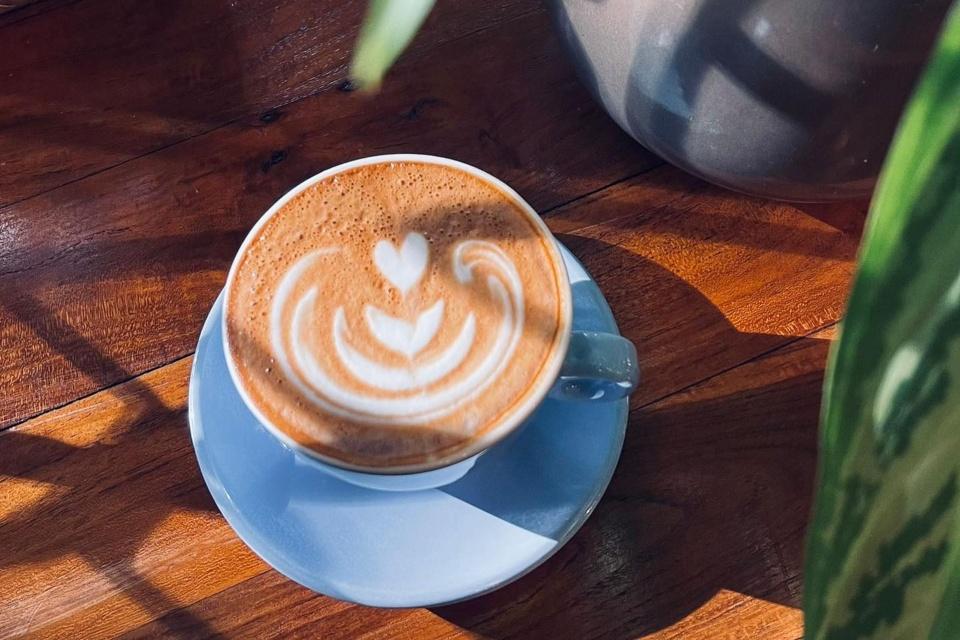 The Coastal Settlement