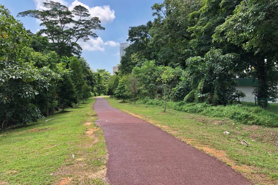 The Green Corridor in Singapore