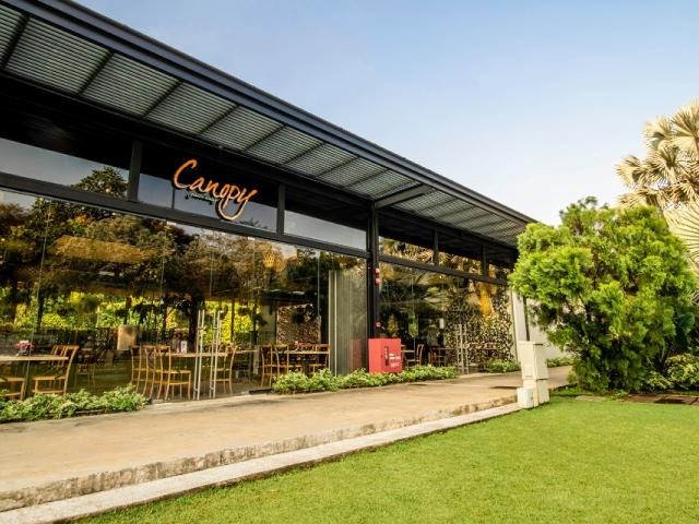 canopy