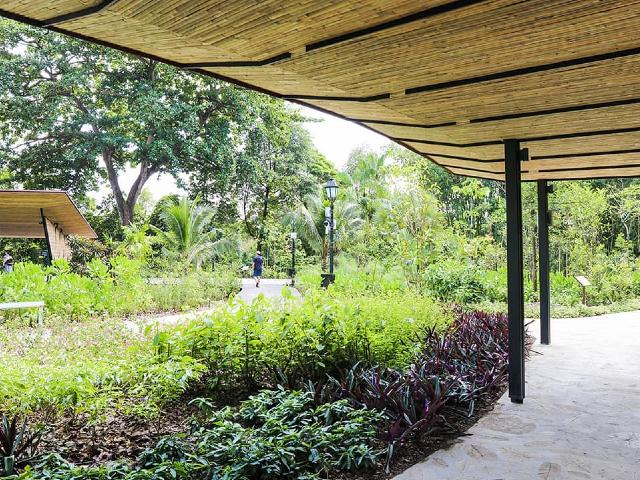 Ethnobotany Garden