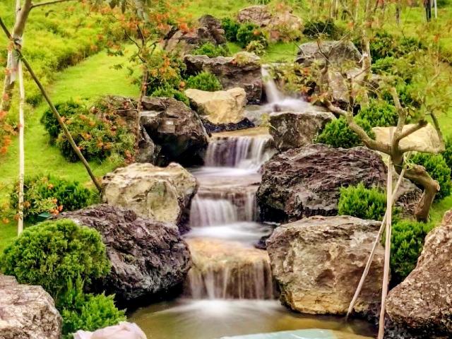 Serene Garden