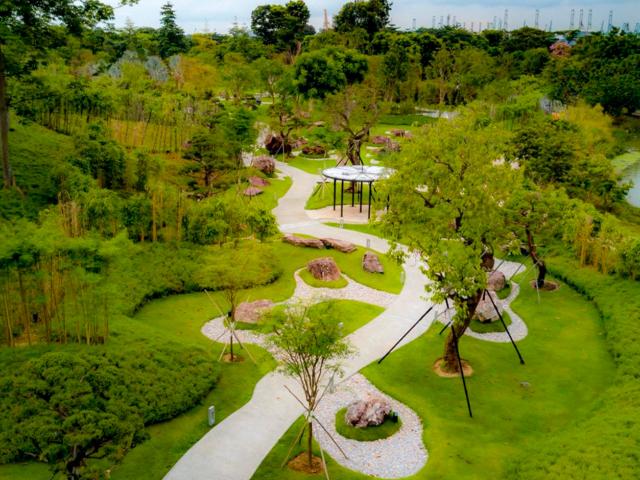 Serene Garden