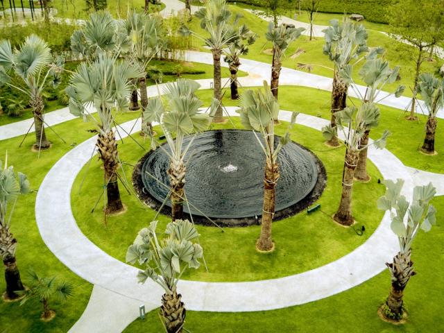 Serene Garden