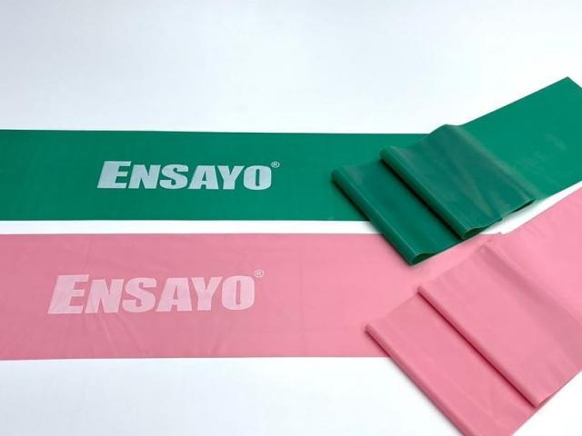 Ensayo Gym Equipment, Inc.