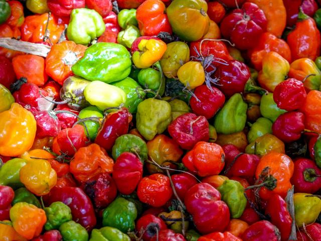 A Taste Of The Caribbean