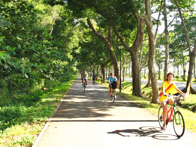 Coastal Park Connector