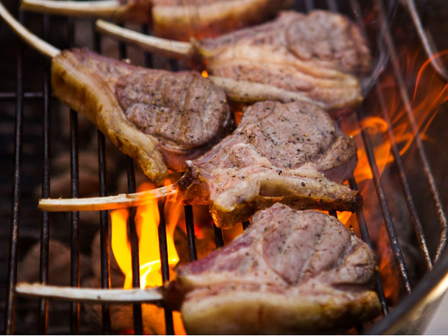 Meat & Livestock