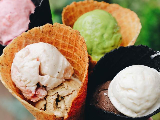No Horse Run Gelato