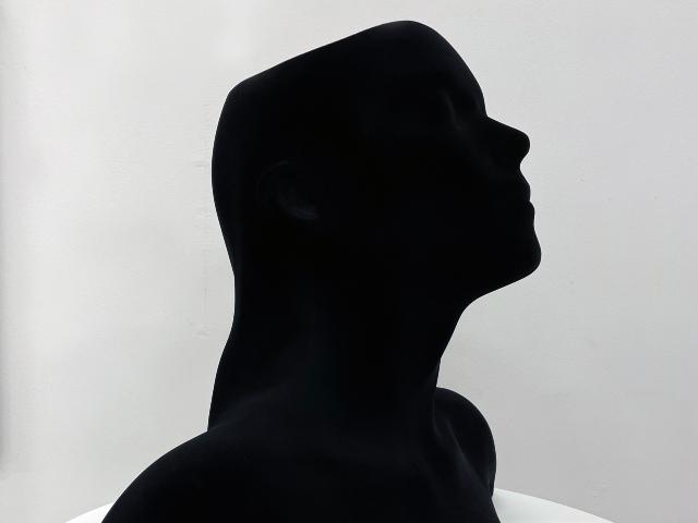 GUNWOO SHIN SOLO SHOW: SIK:蝕