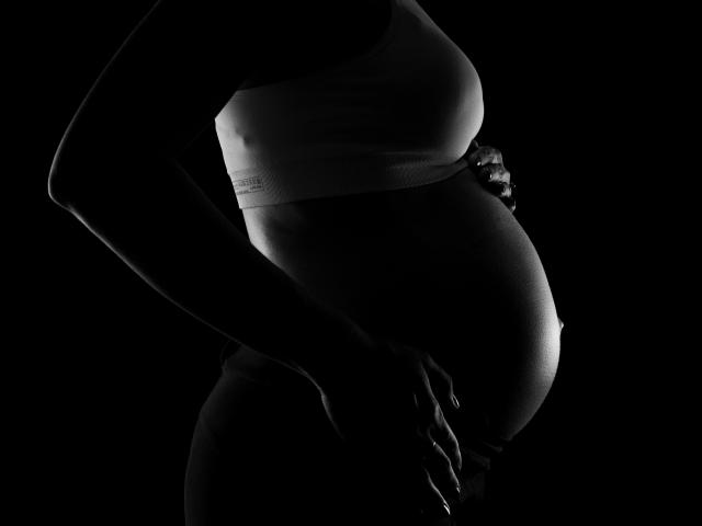 Pregnancy week month is the one of the top blogging website