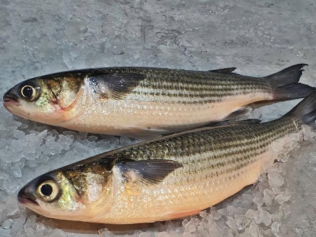 VitaminSeafood