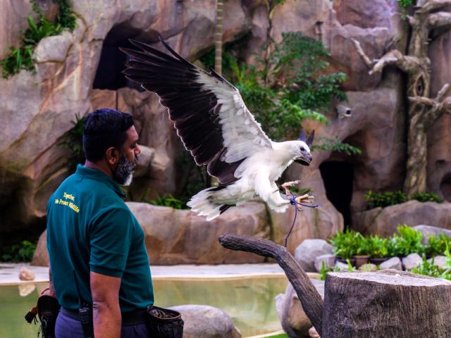 Mandai Wildlife Reserve