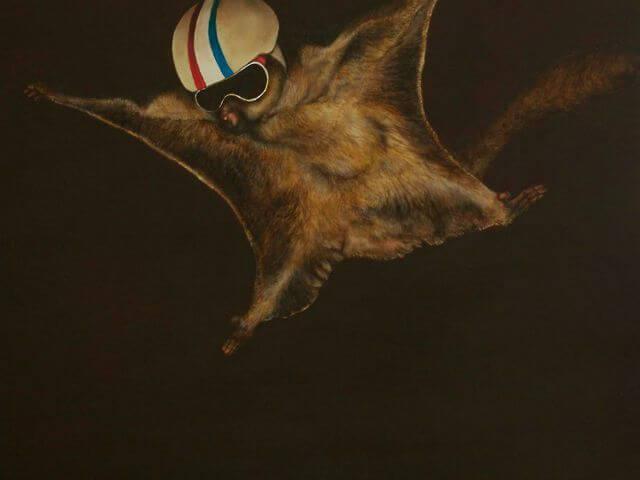 The Flying Squirrel