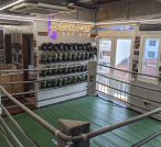 Foxgloves Fight Gym