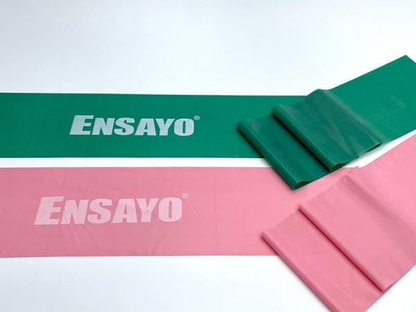 Ensayo Gym Equipment, Inc.