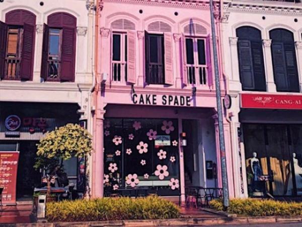 Cake Spade