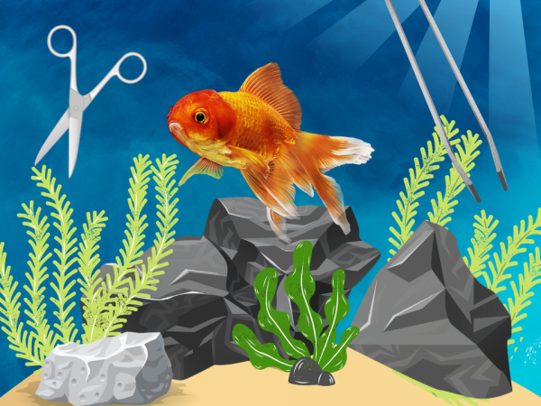 Fishyhub