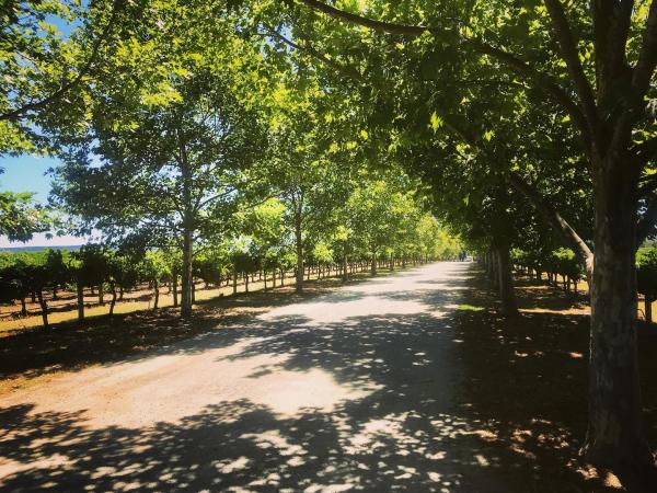 Lancaster Wines
