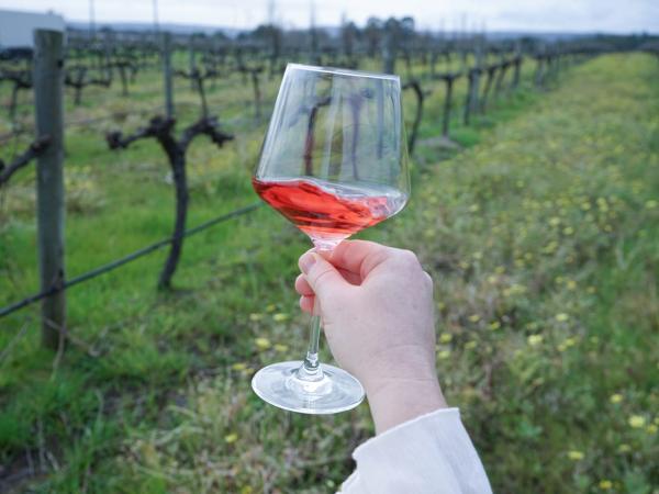 Lancaster Wines