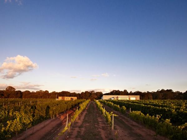 Olive Farm Wines