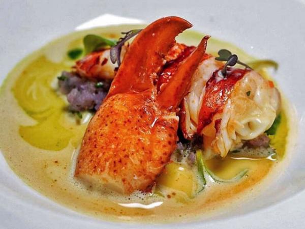 DB Bistro & Oyster Bar
