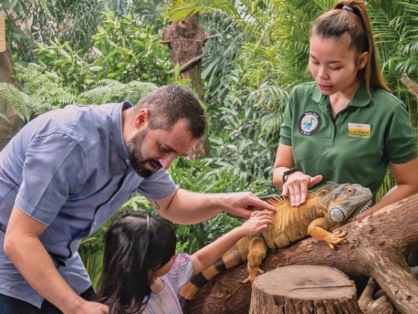 Singapore Zoo