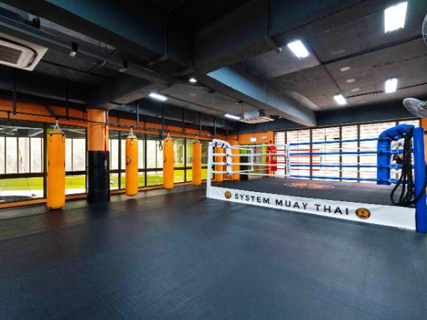 System Muay Thai