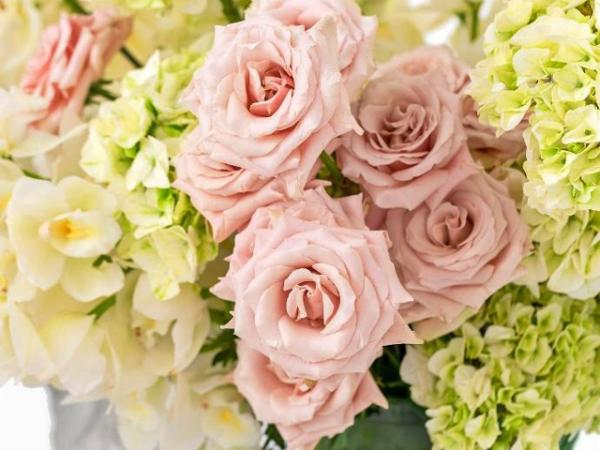 Bliss Flower Boutique