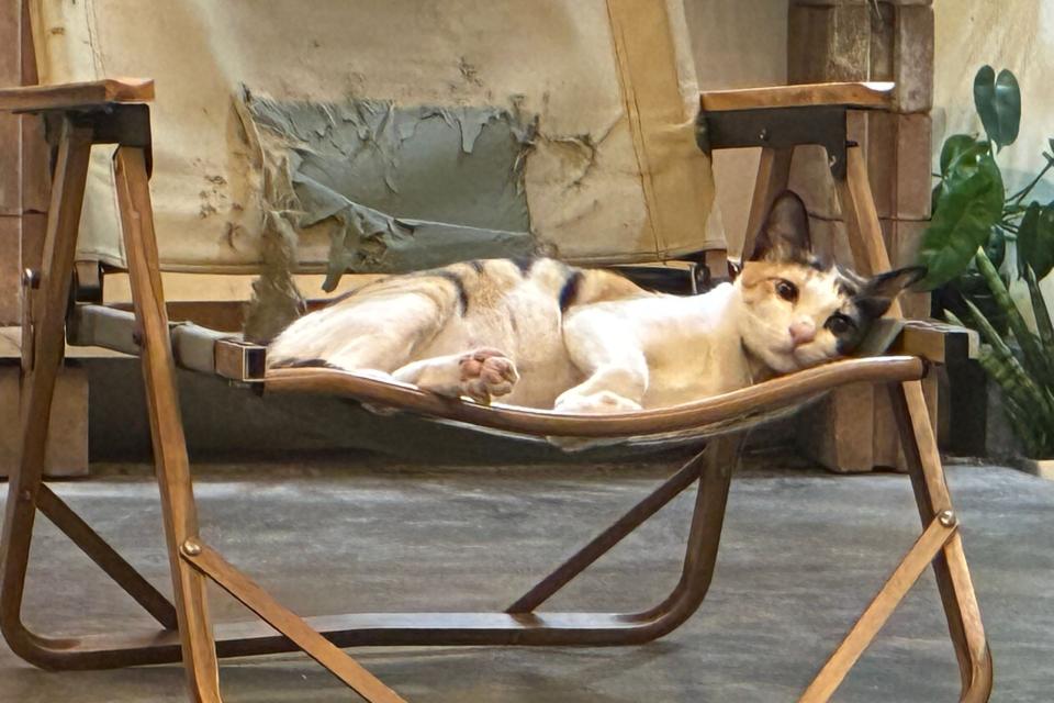 The stunnimng Tropical Garden at Villa Taksu Bali