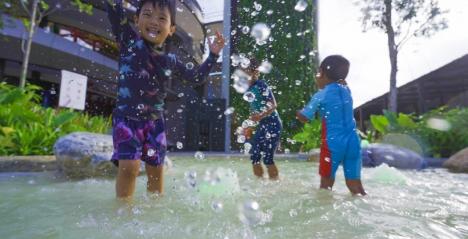 Coastal PlayGrove