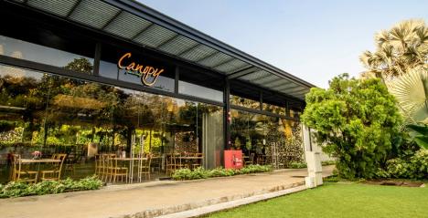 Canopy