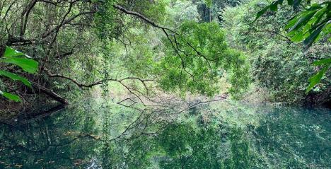 Keppel Hill Reservoir
