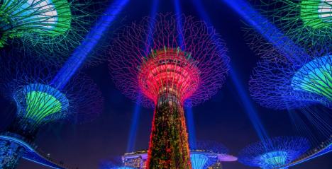 Soak in Nature at these Beautiful Gardens in Singapore