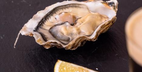 BURN Oysters
