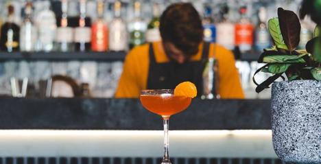 Destination Beverages