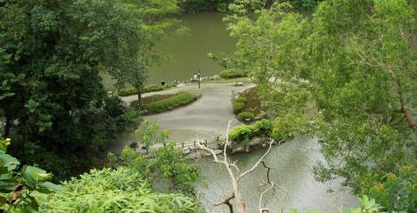 Bukit Batok Nature Park